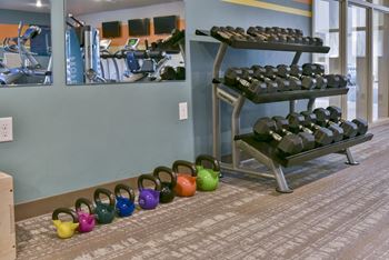 Kettle bells and free weights available for use in the fitness center near hung mirrors.